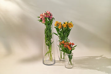 Alstroemeria